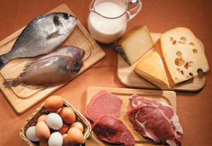 Las proteinas de origen animal son las más frecuentes en la dieta humana pero los vegetales también tienen proteínas de alta calidad