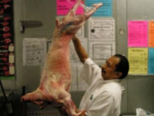 La matanza y destace de los animales halal se realiza por medio de estrictas normas higiénicas y religiosas