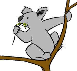koala-dibujo