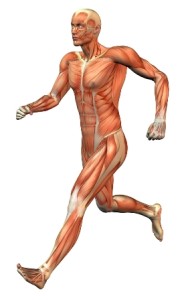 muscle_man_running