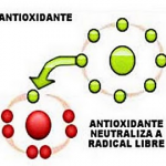 radicales-libres-2